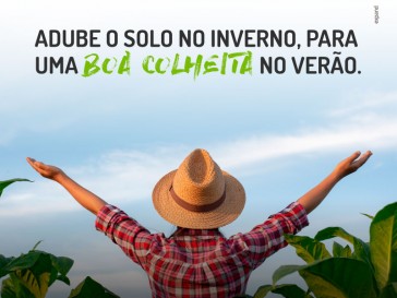 Boa colheita no verão