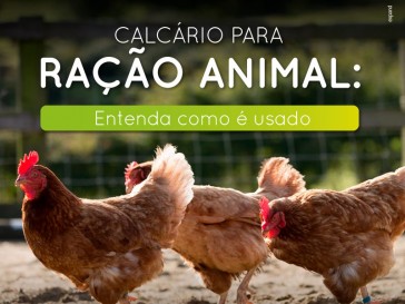 Calcário para ração animal